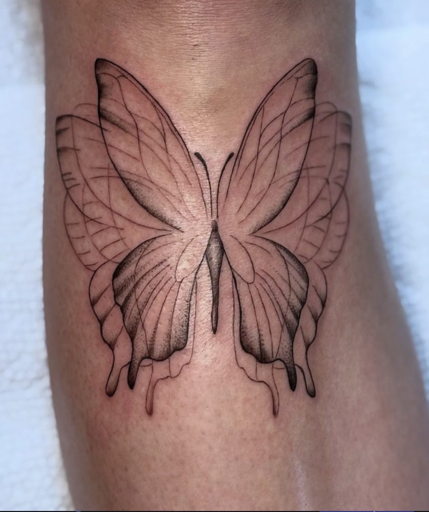 Fine-line butterfly with delicate single-needle wings and soft stippled shading