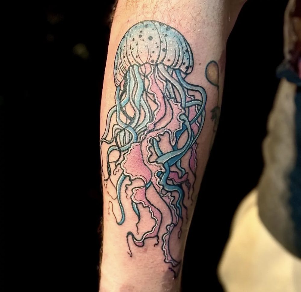 Jellyfish rendered in soft blue and pink